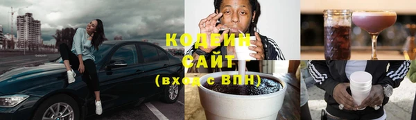 стаф Елизово