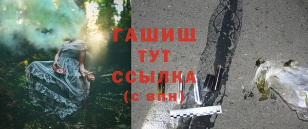стаф Елизово