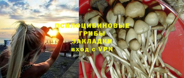 первитин Ельня