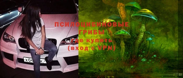 первитин Ельня
