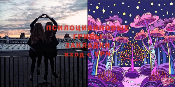 первитин Ельня