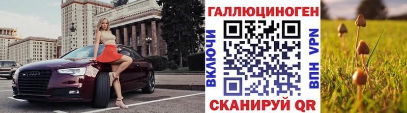 Псилоцибиновые грибы Psilocybe  Купить закладки  Давлеканово 
